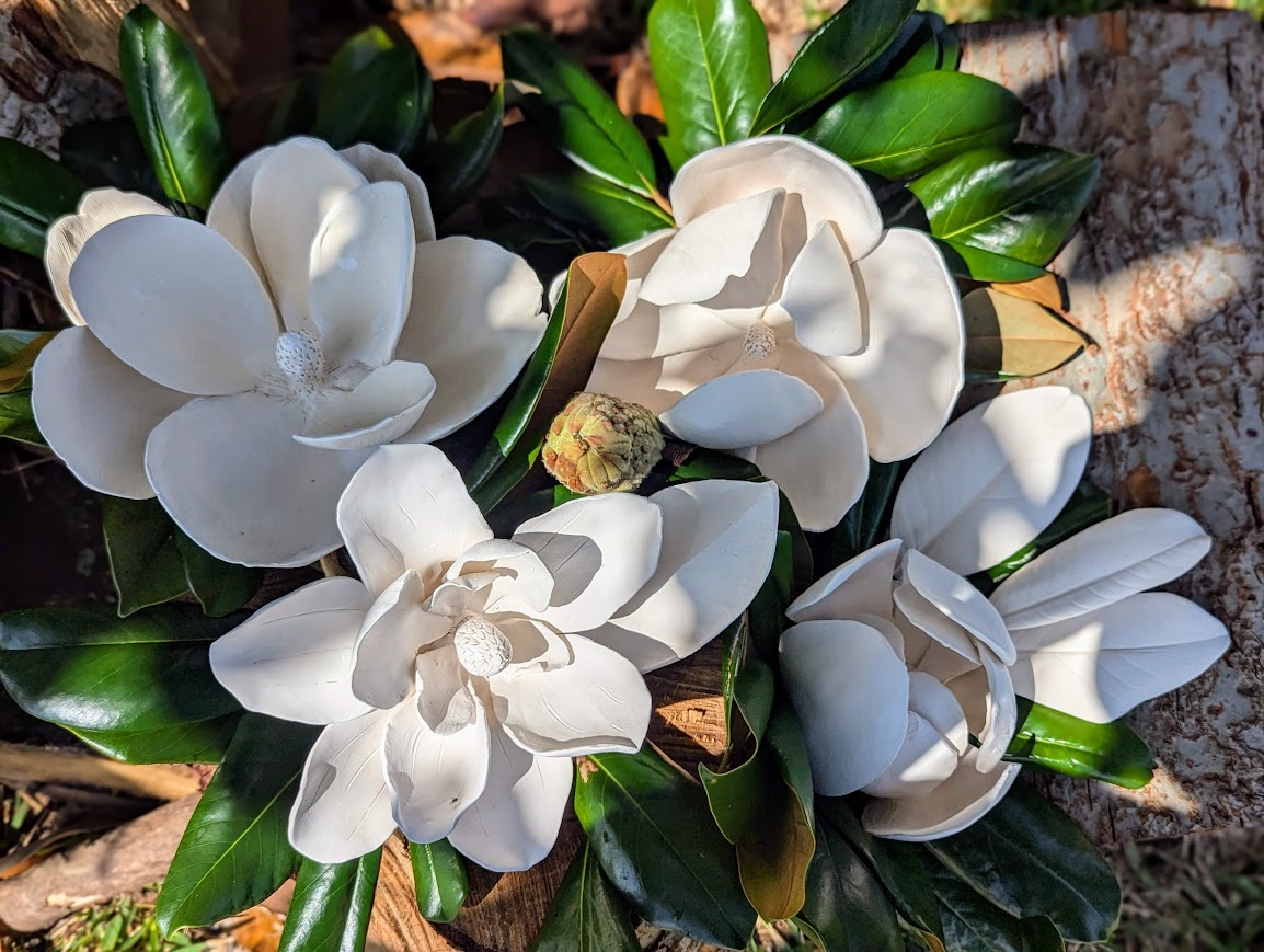 Inspiration Behind Magnolia-Themed Pottery